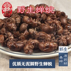 寻百草 中药材蝉蜕 蝉衣 知了皮 虫蜕无杂质新货散风除热新货50克