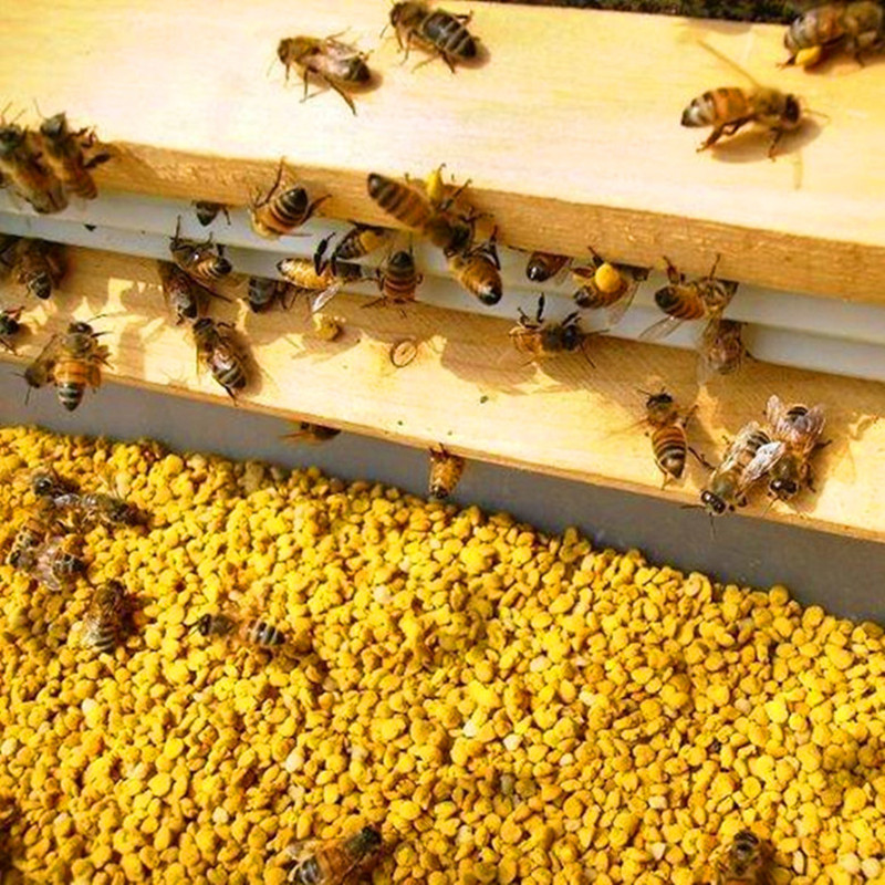 用什么喂蜜蜂最好 用什么喂蜜蜂最好呢