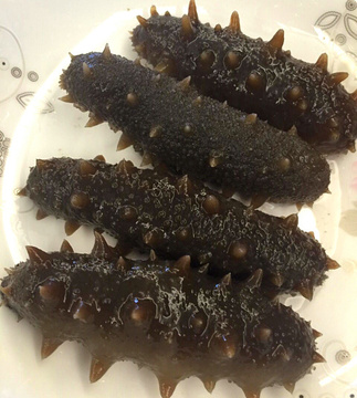 【简补食品】实体销售 水发海参 辽参 大连刺参 冷冻鲜海参