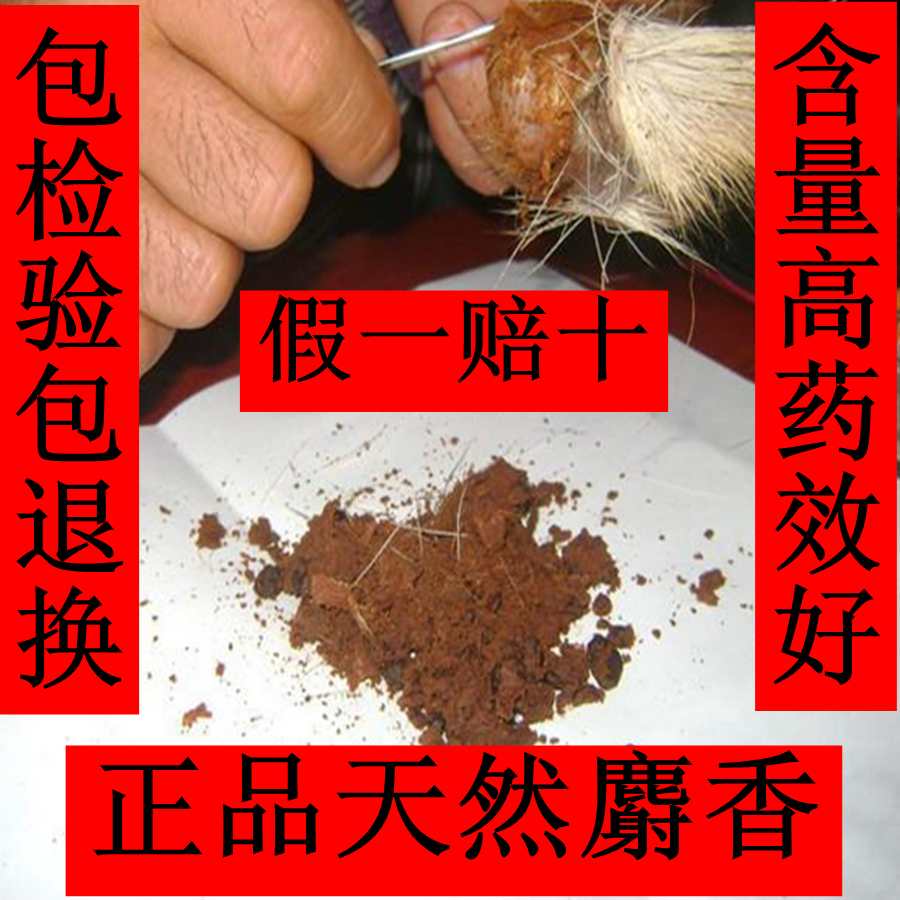 纯天然麝香 麝香仁 正品药用西藏麝香粉一克钓鱼泡麝香酒药中药材