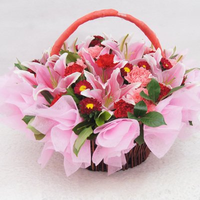 康乃馨花篮 上海鲜花速递同城花店送花 送长辈探望病人手提花篮