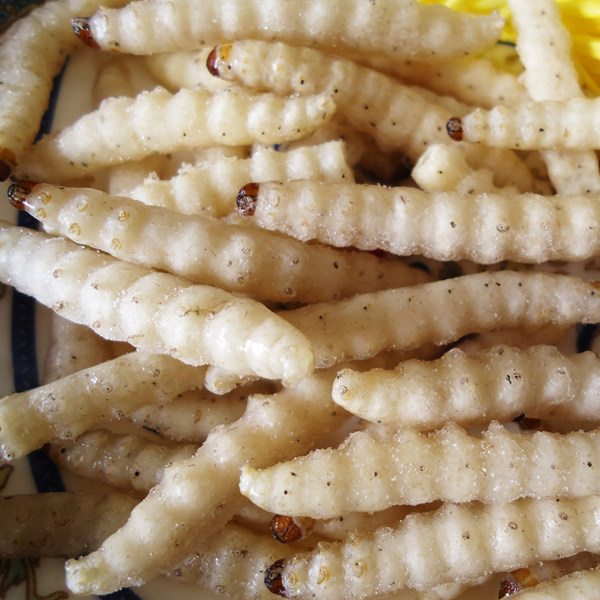 云南野味野生竹虫 竹虫草 昆虫速冻油炸酥脆芳香奶香美味佐酒