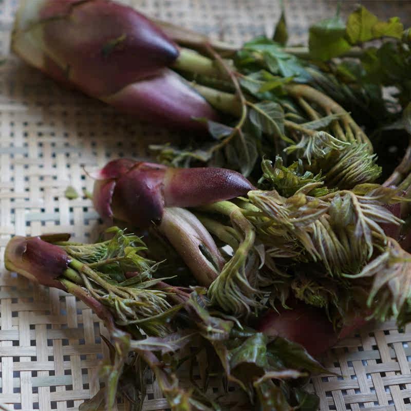 云南刺老包刺老芽刺嫩芽树头菜老虎刺野生500克