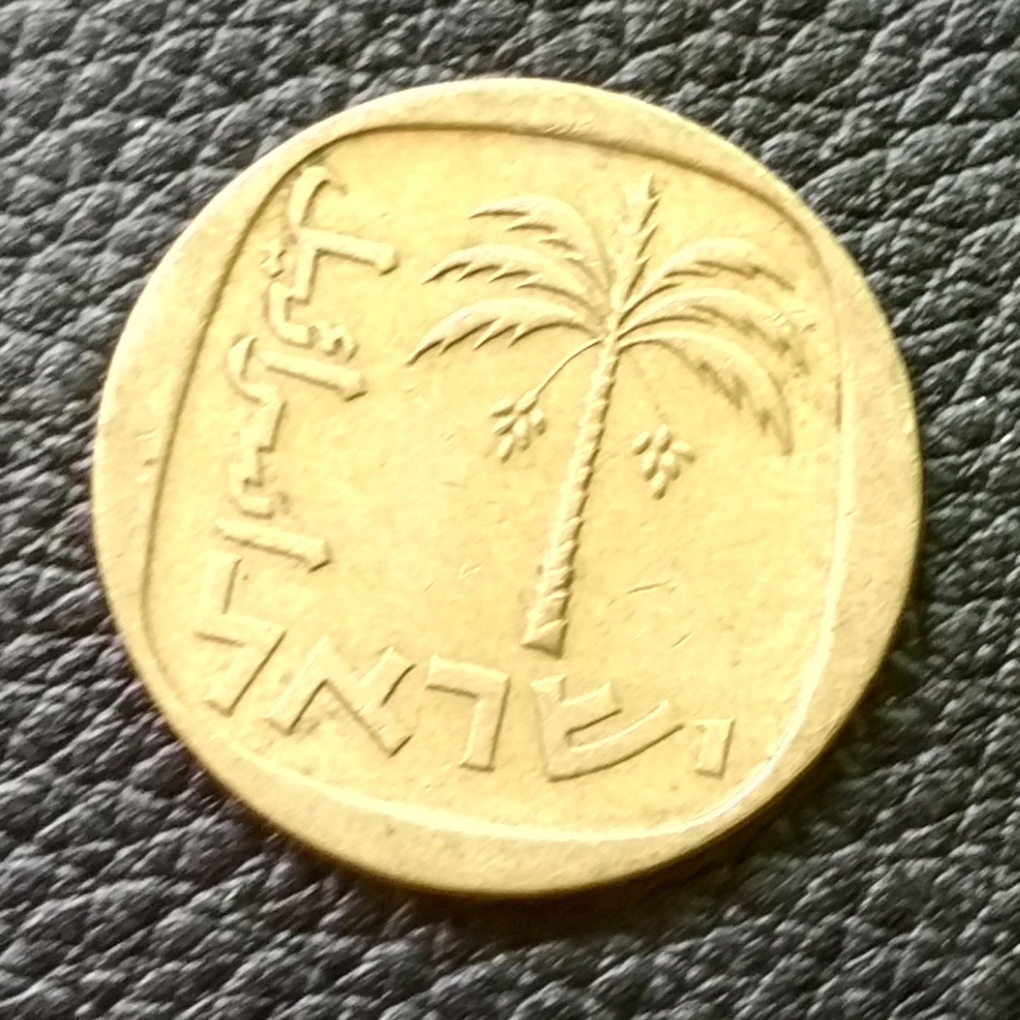 外国硬币 以色列10阿高洛 树版保真特价
