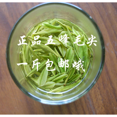 2015年新茶 宜昌綠茶 正宗五峰毛尖雨前有機茶葉 茶農直銷100g