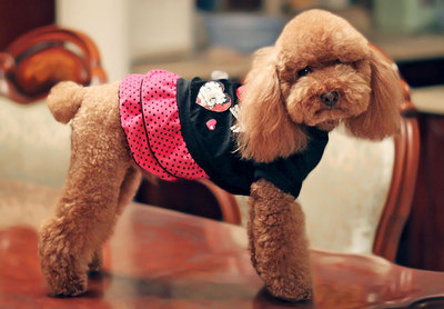 日本pipi新款宠物服装秋冬装 水钻贝蒂狗狗衣服 买三包邮