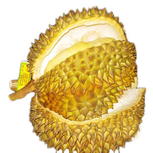 新鲜水果 泰国进口骆驼牌金枕头榴莲99元5-6斤限江浙沪皖