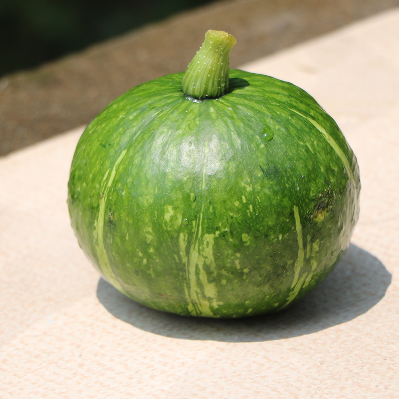 【绿之傲】天目山南瓜 5斤装 迷你绿皮 小南瓜 新鲜蔬菜农产品