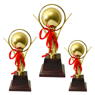 金属奖杯 奖牌 奖杯 证书 礼盒 水晶 定制 免费做字 815c