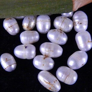 古玩古董收藏品杂项清代老珍珠天然野生手串佛珠子佛家七宝1.48cm