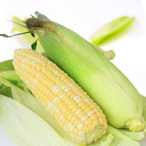 云南特产农家新鲜水果嫩玉米棒8斤粒可生吃甜新鲜蔬菜包邮