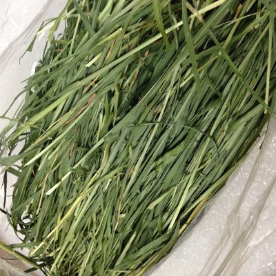 秒杀2015极品烘干小麦草干草牧草 兔子龙猫荷兰猪 250g 4份起包邮