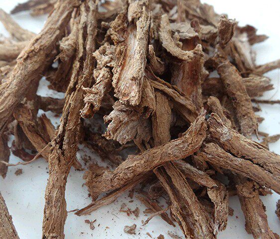 中药材 地骨皮 枸杞皮 杞根地骨地辅地节 散装500g包邮