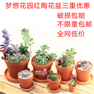 陶盆和瓷盆的区别,和面陶瓷盆图片大全,瓦盆和陶盆图片_大山谷图库