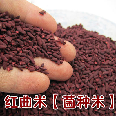 fm-23红曲米菌种 天然发酵 赤曲 红酒曲福建 产地直销500克