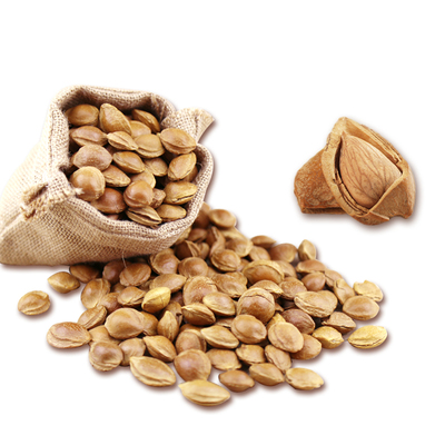 新疆特产开口小银杏手剥小杏仁小白杏核坚果休闲零食4件包邮