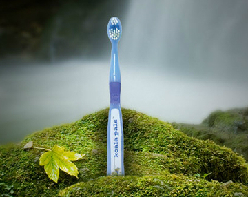 美乐家 koalapals儿童牙刷-蓝色 1支