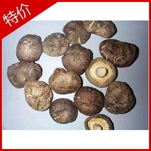 东北特产香菇 无根香菇头 6元邮费不限重